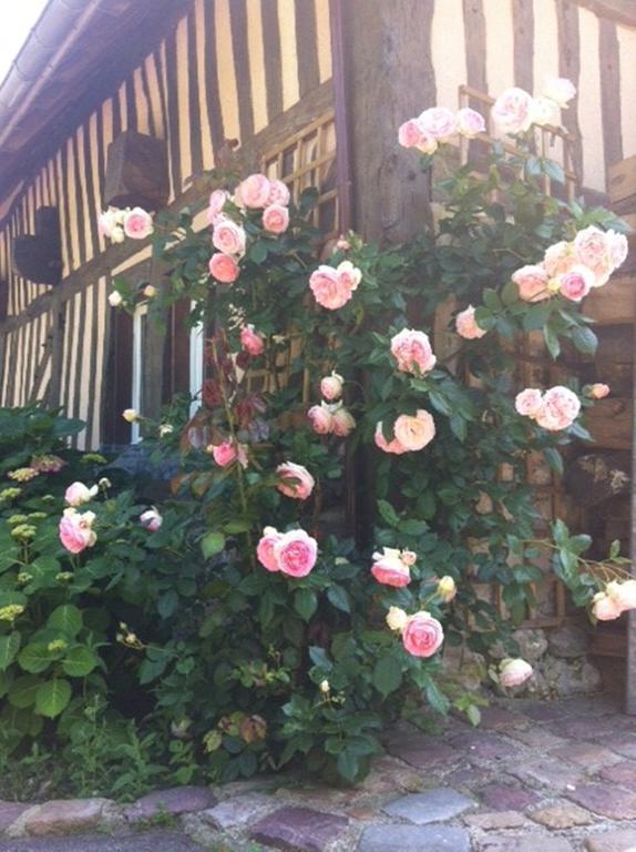 A La Bergerie Bed and Breakfast Honfleur Exteriör bild